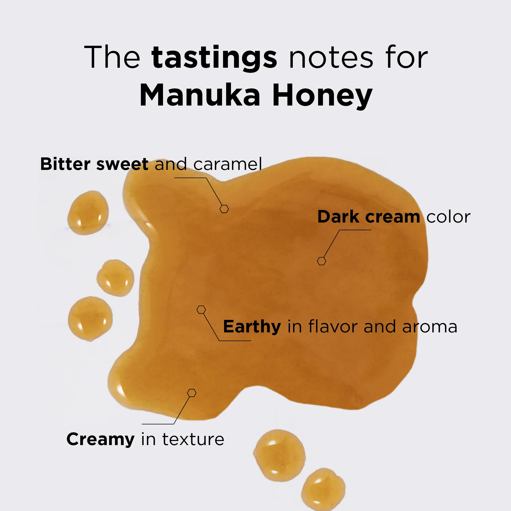 MGO 80 Manuka Honey Squeezy (10.58oz) - Image 4